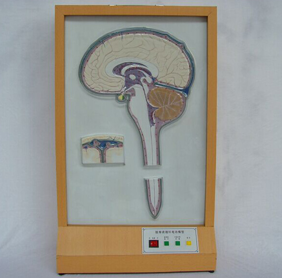 �X��Һѭ�h(hu��n)늄�(d��ng)ģ��