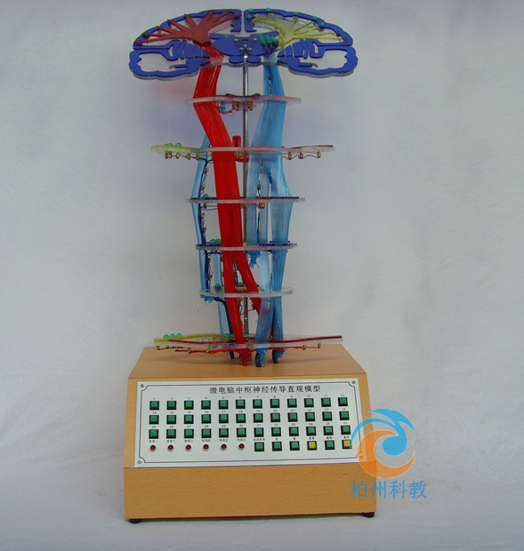 ΢��X�И���(j��ng)����(d��o)ֱ�^ģ��