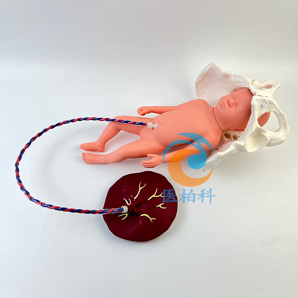 ��(d��ng)�B(t��i)�������a(ch��n)����ʾ��ģ��