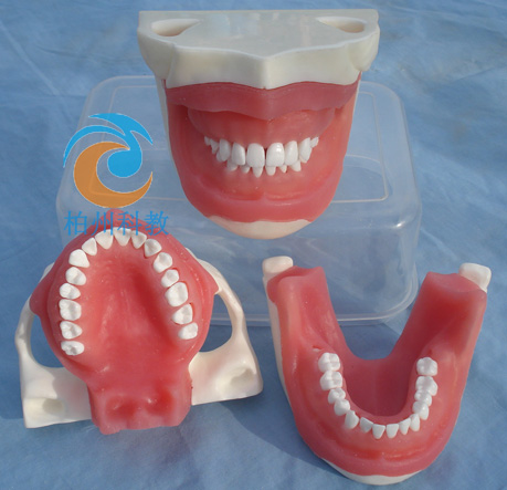 ���팍(sh��)�`ģ��