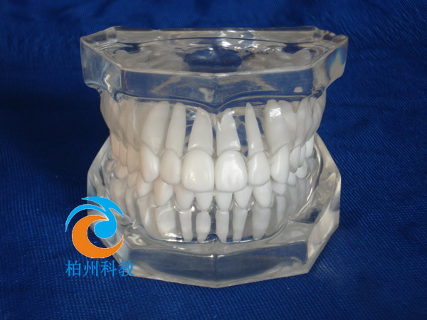 ��(bi��o)��(zh��n)ˮ������ģ��(�o�M��)