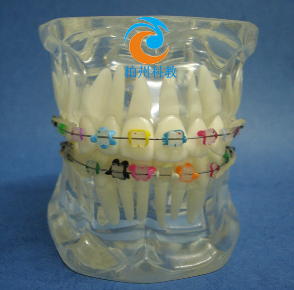 �C������ˮ������ģ��