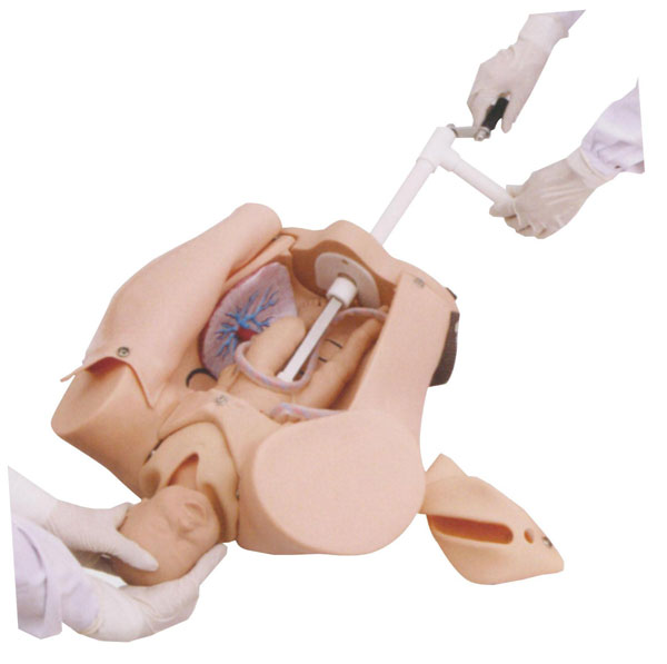 �߼�(j��)�֓u����C(j��)��ʾ��ģ��