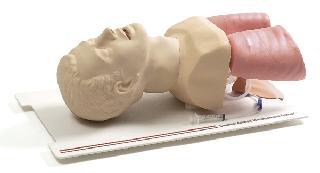 �M�ښ������ģ��