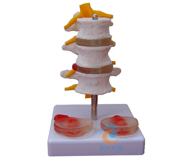 3��(ji��)��׵��2����׃׵�g�Pģ��