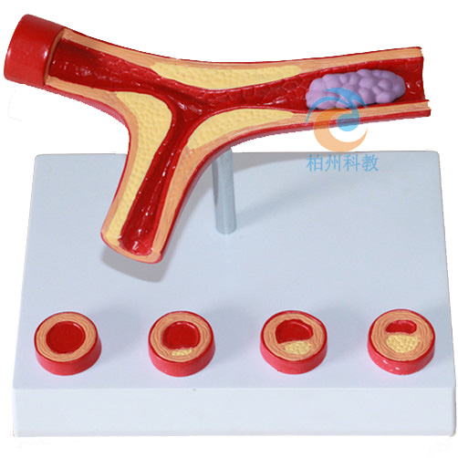 ���Ĳ�ģ��