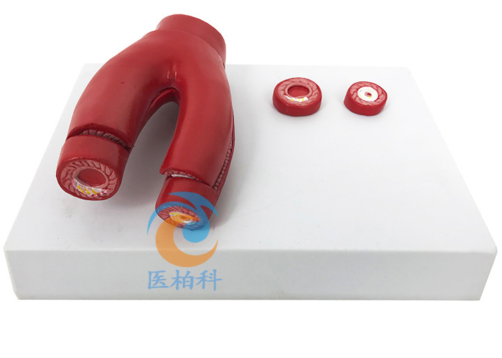 ��(d��ng)�}Ӳ��ģ��