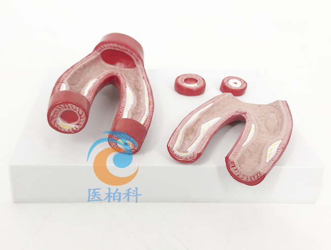 ��(d��ng)�}Ӳ��ģ��