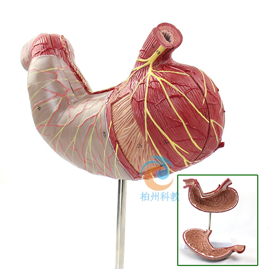 θ������ģ��