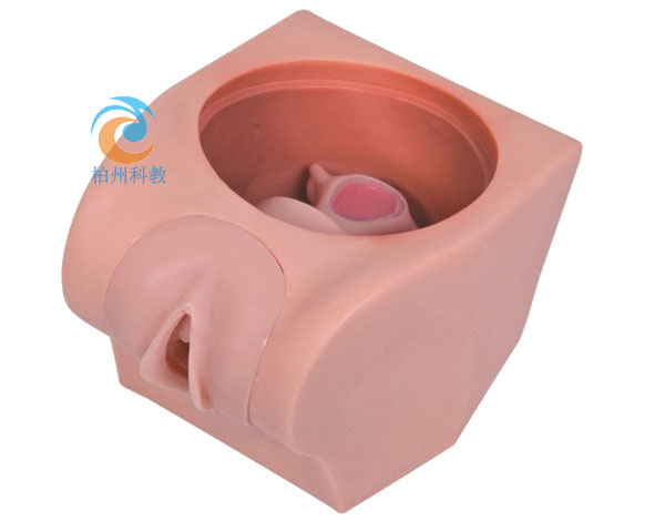 �߼�Ӌ(j��)��������ԇģ��