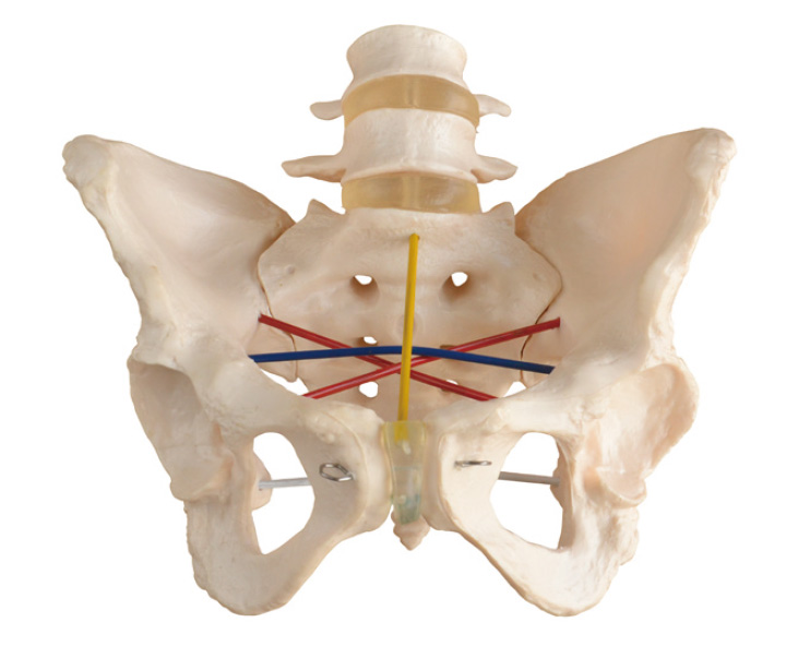 ����y��ʾ��ģ��