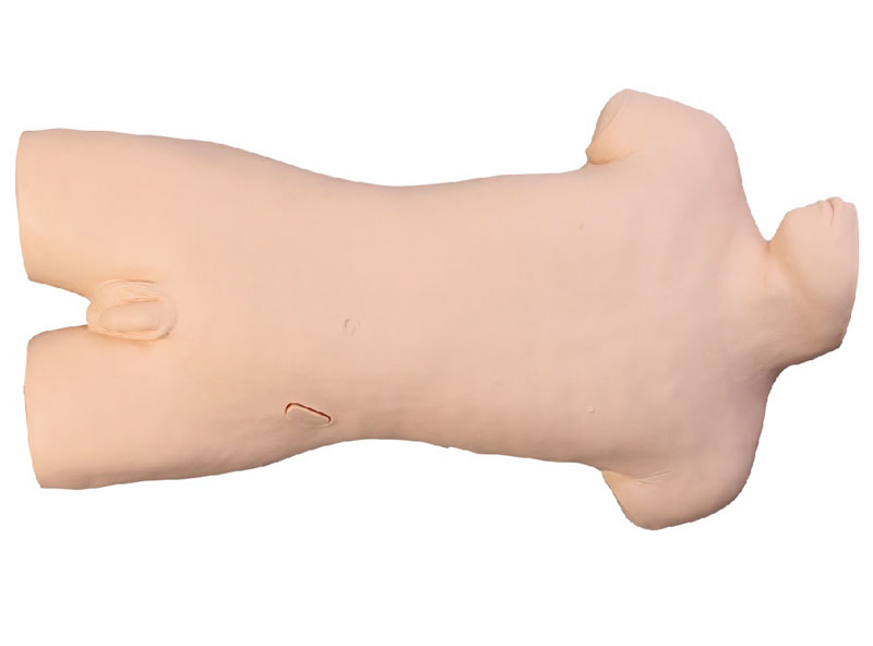 ��ǻ������������Ӗ(x��n)��ģ��