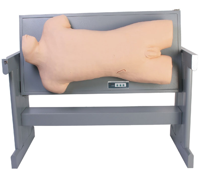 �����Ƅ��ԝ�ߵ�\�c��ǻ����Ӗ��ģ��