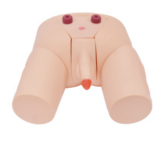 �Բ��z�����ģ��