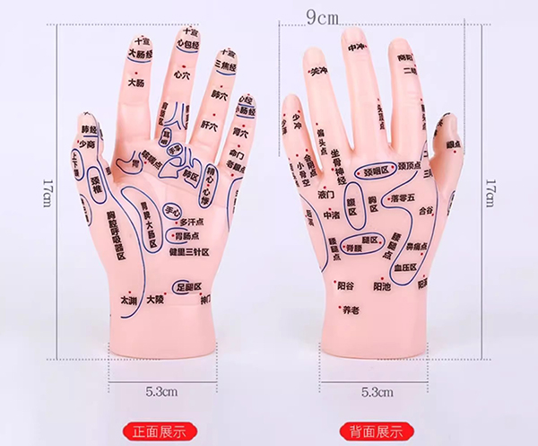 ����^(q��)��Ħ��ģ��17CM